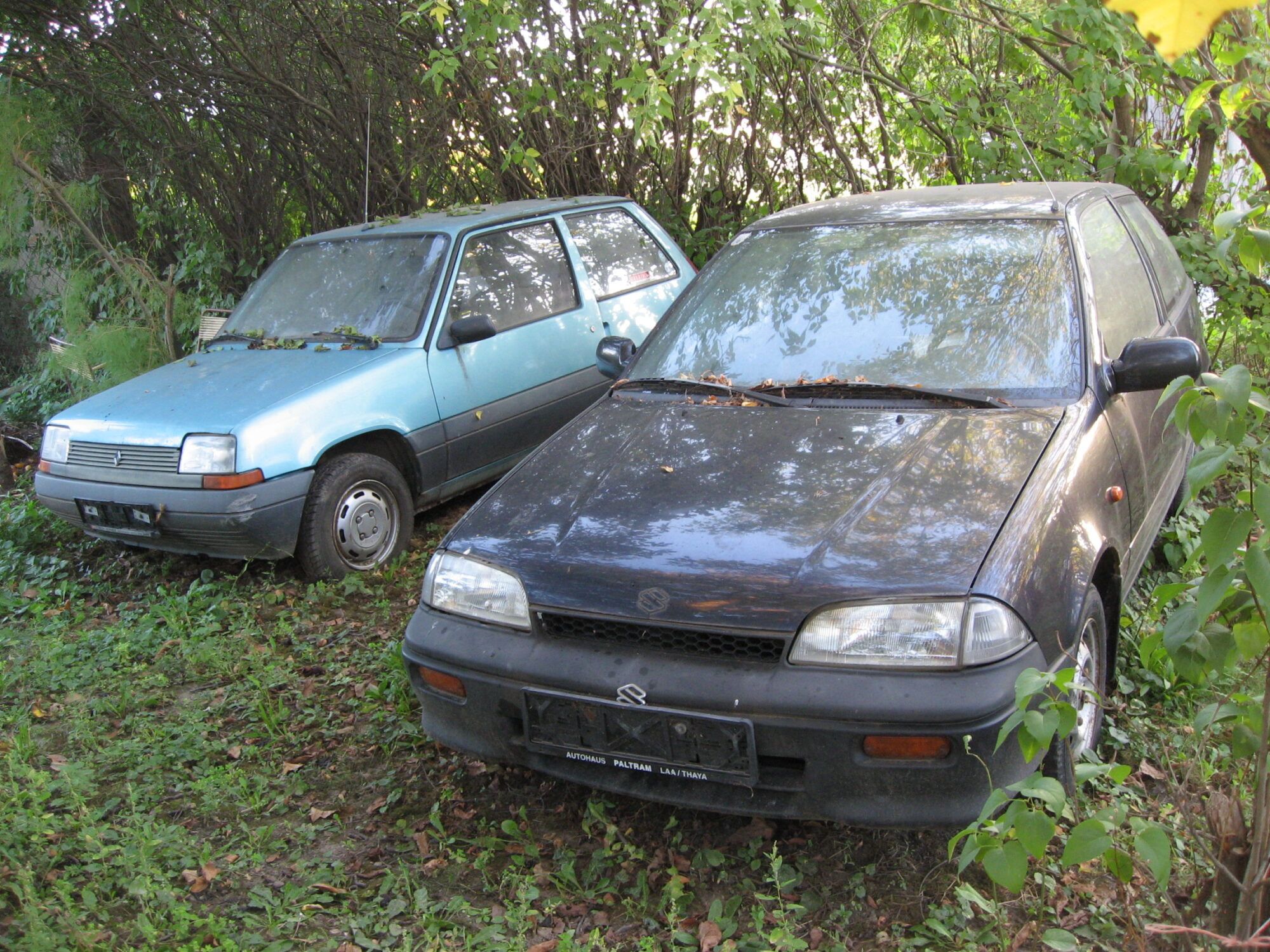 Das Bild zeigt zwei kleine Altautos in der Natur.